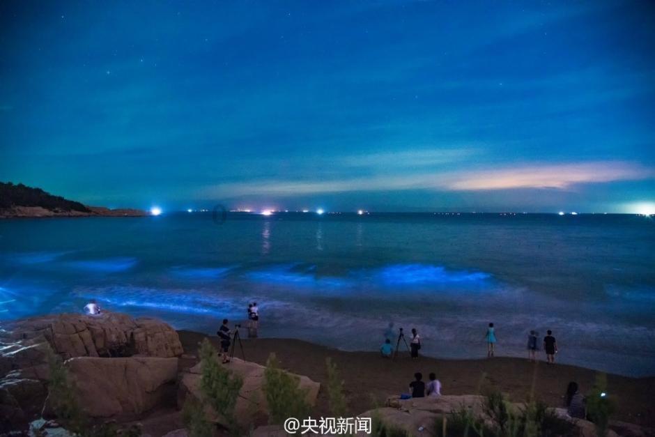 为什么UFC在中国没有那么高热度呢？