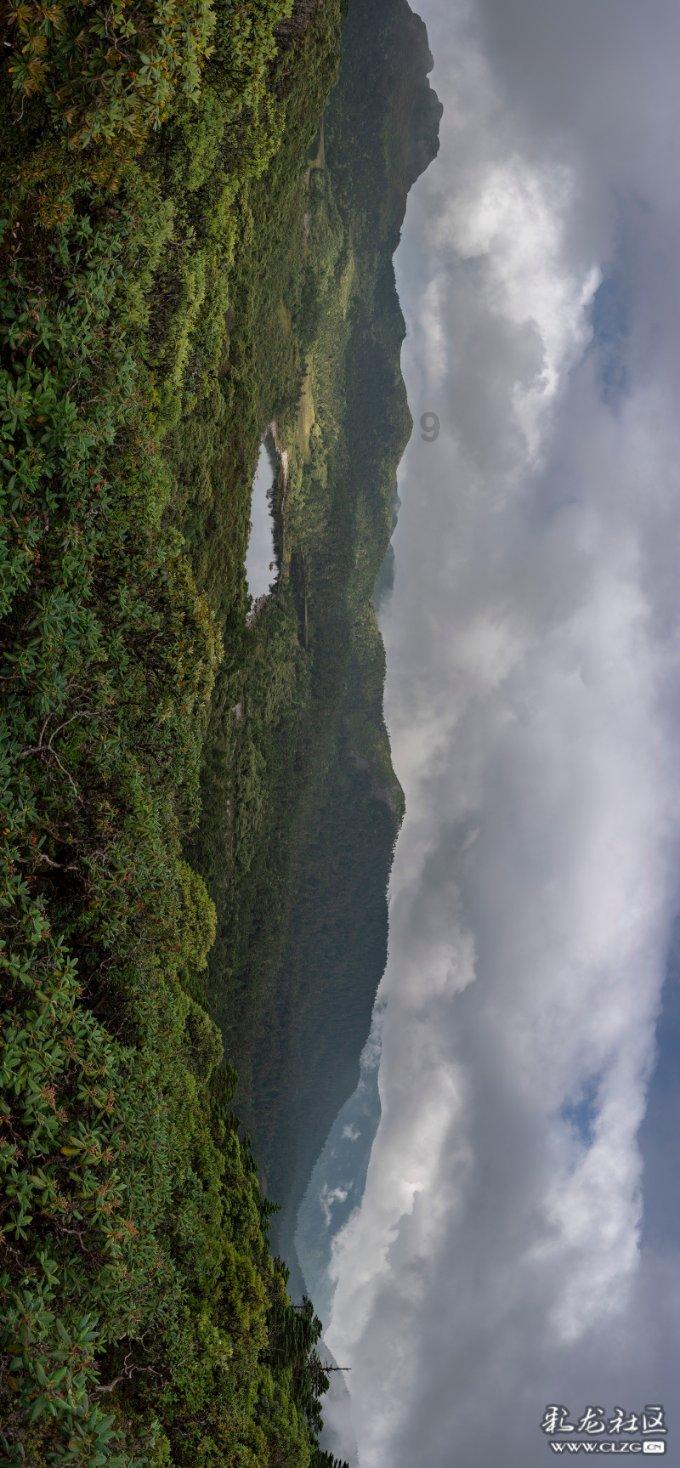 逃离椰子岛