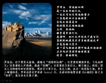优雅的精灵