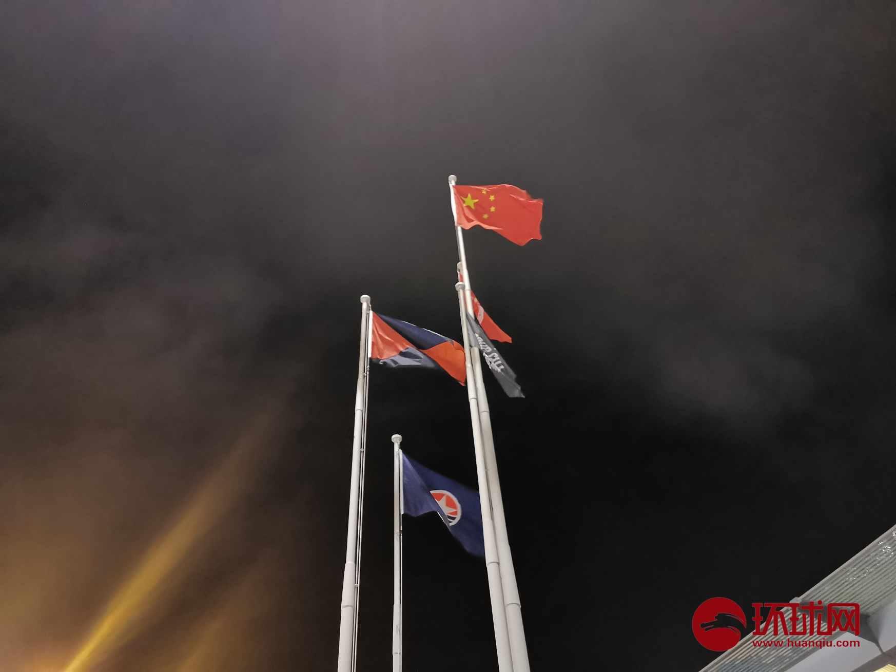 白蚁与蚂蚁的区别是什么？游戏画面